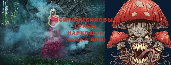 метадон Алексеевка