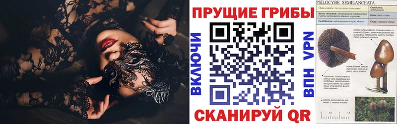 кракен   Серов  Псилоцибиновые грибы ЛСД 