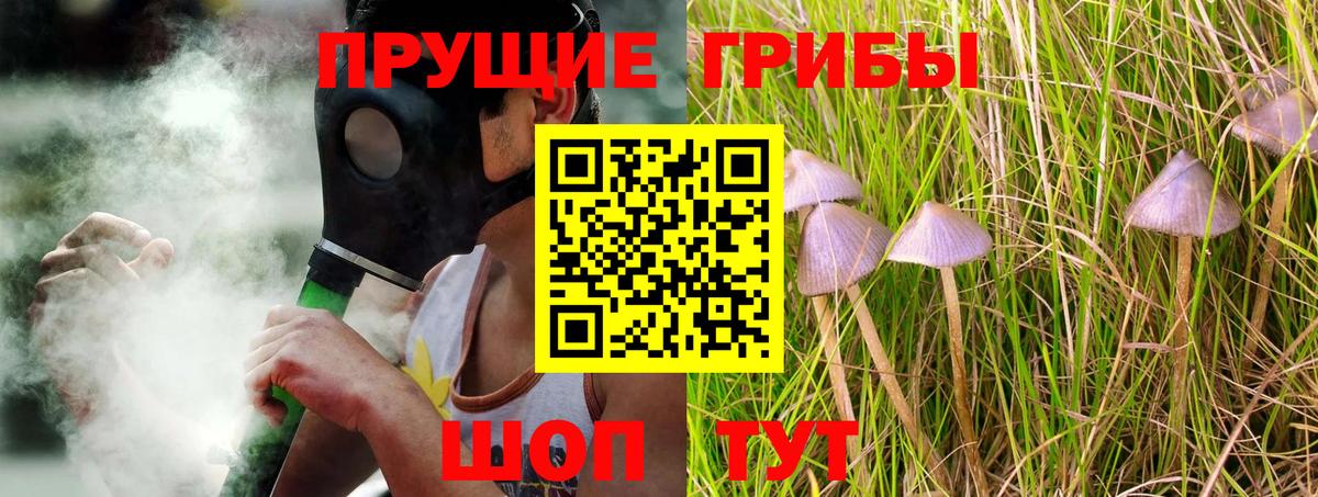 Галлюциногенные грибы Psilocybe  Псилоцибиновые грибы MAGIC MUSHROOMS  Вход с VPN  Серов 