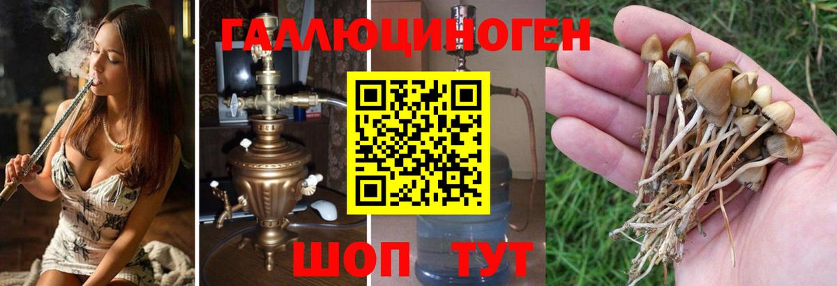 Галлюциногенные грибы GOLDEN TEACHER Серов